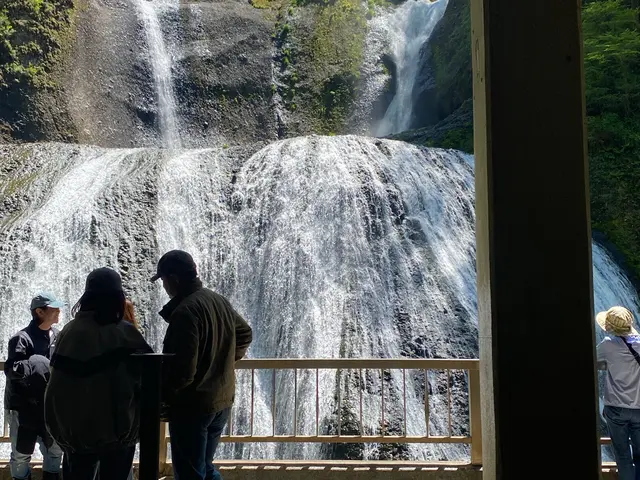 お客様のお力になります!経験と知識を活かして迅速丁寧に撮影いたします