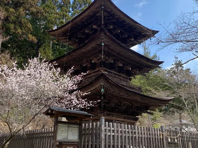 お客様のお力になります!経験と知識を活かして迅速丁寧に撮影いたします