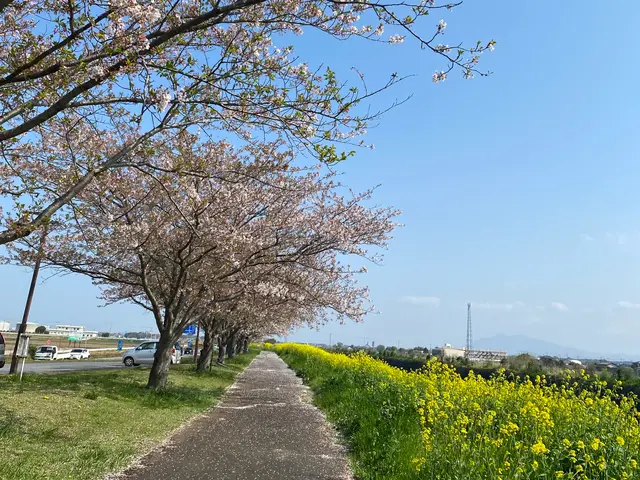 お客様のお力になります!経験と知識を活かして迅速丁寧に撮影いたします