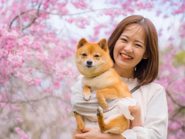 【クレカ対応】初めての方でもお任せ下さい☆【編集込みたっぷり納品☆】一生の写真を