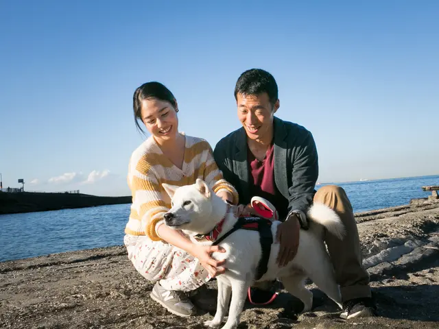 大切なペットちゃんの写真残します☆ ペットちゃんソロも飼い主様との写真もOK!
