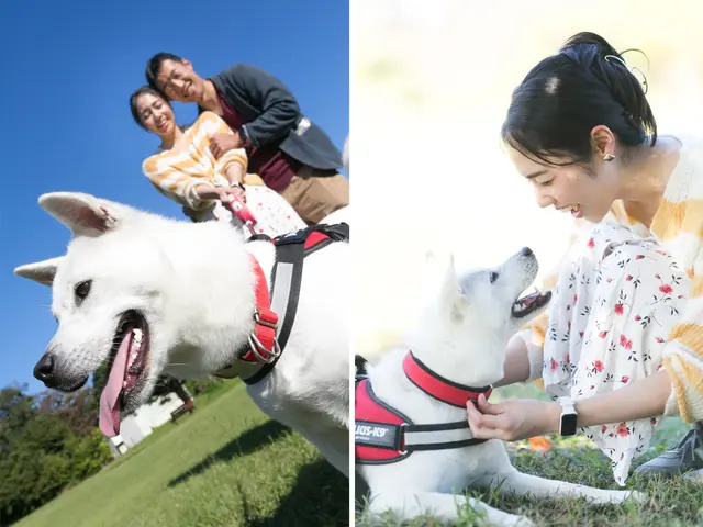 大切なペットちゃんの写真残します☆ ペットちゃんソロも飼い主様との写真もOK!