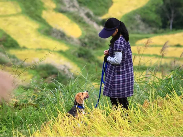 愛犬などペットの写真はお任せください