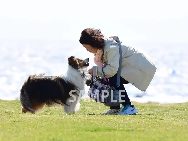 ペットちゃんとご家族の楽しいひと時を撮影いたします。
