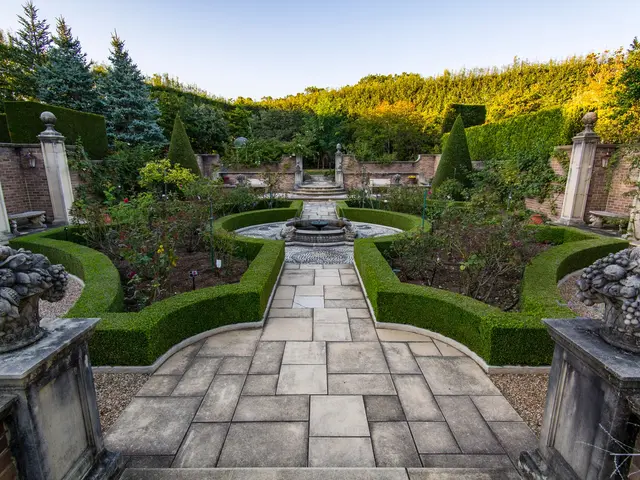 ホームページ、店舗、googleストリートビュー等の撮影を経験しております