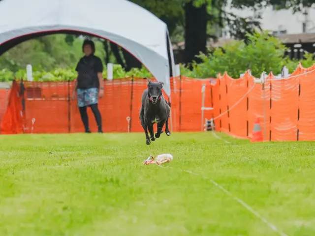 各種イベント出張撮影。撮影時間により割引いたしますのでお問い合わせください。