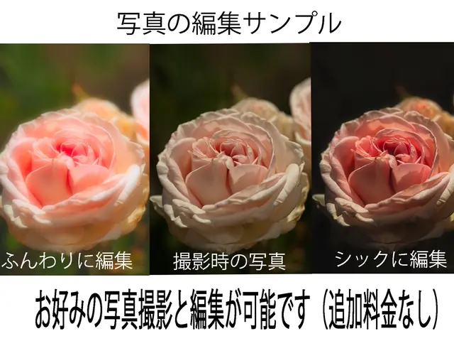 この料金は対応力・技術力の証明。 安売りできない撮影技術を提供します。