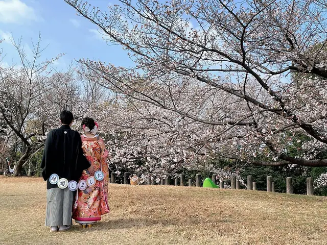 ◎国家検定一級着付技能士の着付け 着崩れなし美しく楽な着付けを提供時間外にも対応