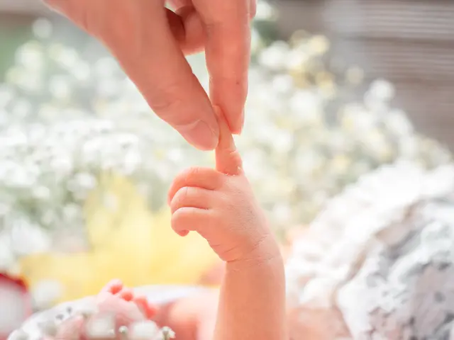 【初回限定価格】高品質な写真と安心のサービスを、お求めやすい価格でご提供します。