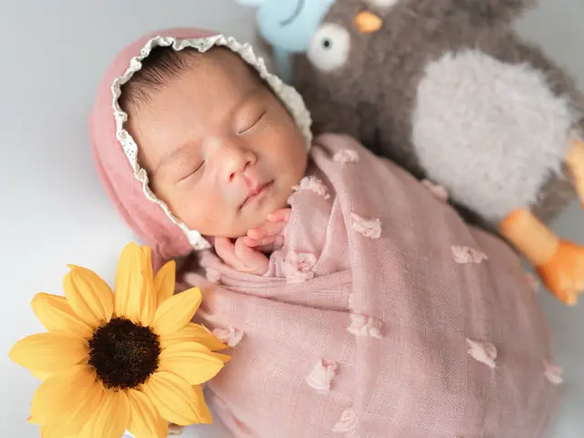 【初回限定価格】高品質な写真と安心のサービスを、お求めやすい価格でご提供します。