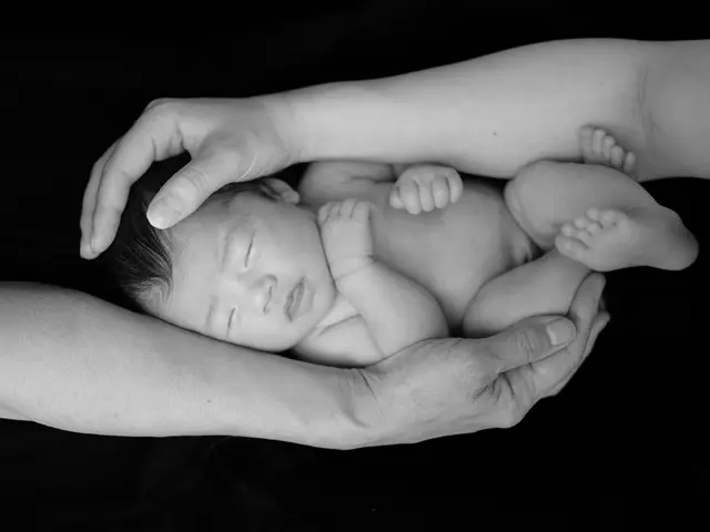 【初回限定価格】高品質な写真と安心のサービスを、お求めやすい価格でご提供します。