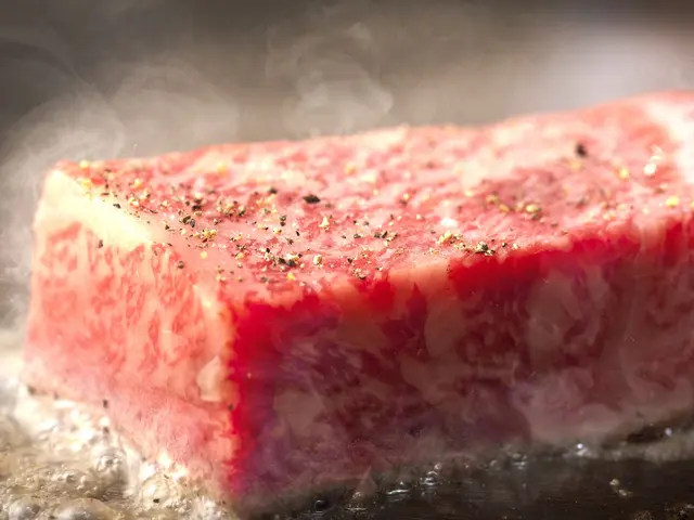 飲食店向け 撮影カット数に上限無し 1時間当たり最高12枚のお料理写真を撮ります