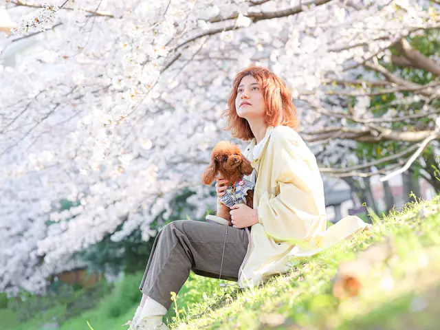 【特別価格】わんちゃん撮影はお任せください◎キラキラな瞬間を写真に残します♪