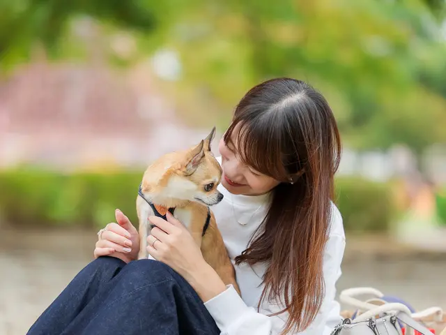 【特別価格】わんちゃん撮影はお任せください◎キラキラな瞬間を写真に残します♪