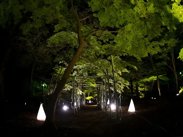 <埼玉県近郊対応☆プロモーションしやすいご希望のイメージで撮影します◎