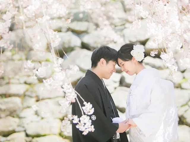 挙式から披露宴までの撮影で55000円となります。前撮り料金はご相談ください。