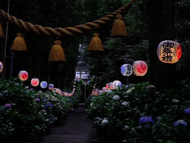 撮影・納品まで当社スタッフがすべて対応します