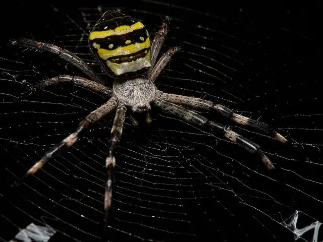 大きなペットと写真撮影!もちろん通常の撮影も!