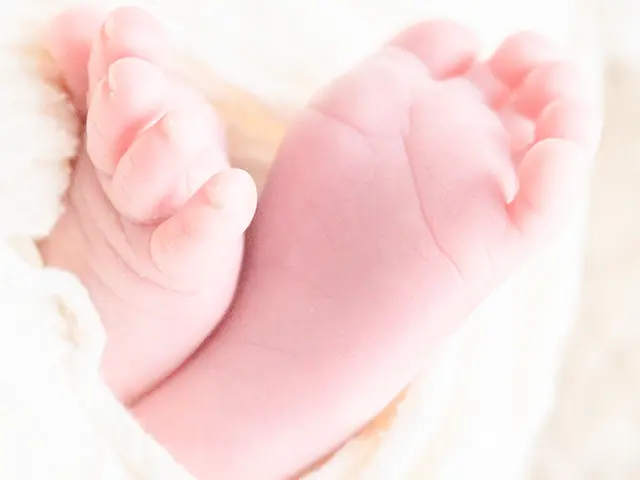 双子の撮影OK!2時間で50カット以上!生後2ヶ月まで対応!
