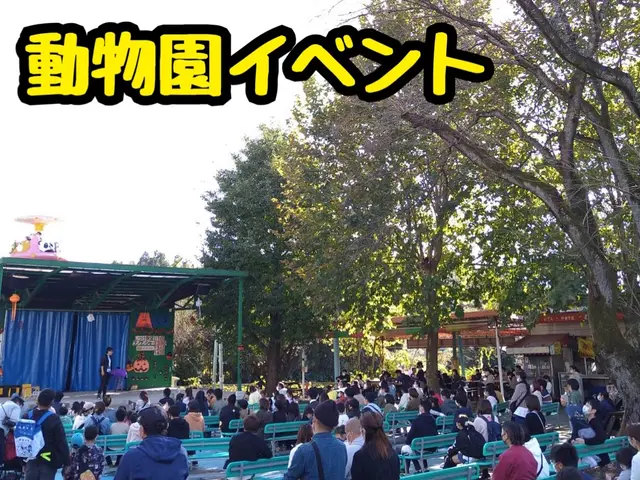 【小学校教員免許取】お子様向けマジックショーの人気マジシャン《学校公演実績多数》