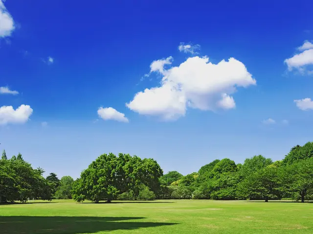 《雑誌撮影経験あり笑顔で対応、笑顔を大事に撮影いたします。ビデオ撮影可