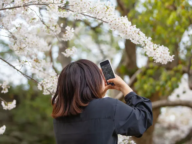 明るい雰囲気の写真に強い!週1組だけの撮影で、丁寧な対応とお写真を提供します
