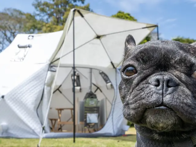 大切な家族の特別な瞬間を写真で永遠に残します!