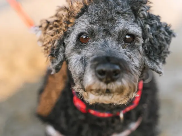 大切な家族の特別な瞬間を写真で永遠に残します!