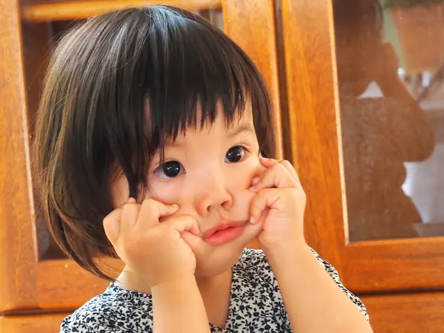 かっぱphoto