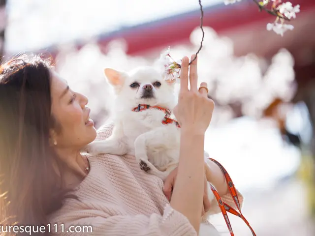 《女性カメラマンです!》御予約お待ちしております。