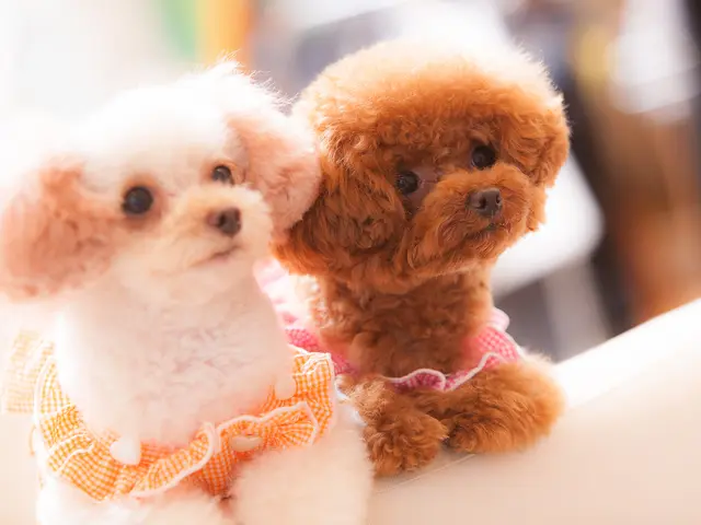 《女性カメラマンです!》御予約お待ちしております。