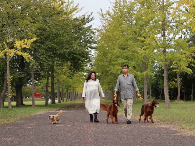 ☆3児の子育て中ママカメラマン☆心豊かな表現をお手伝いします!