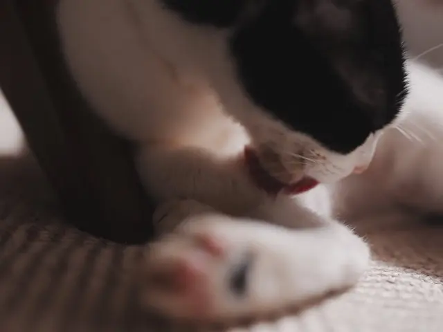 プロの技術でご満足いただけるように心を込めて撮影いたします