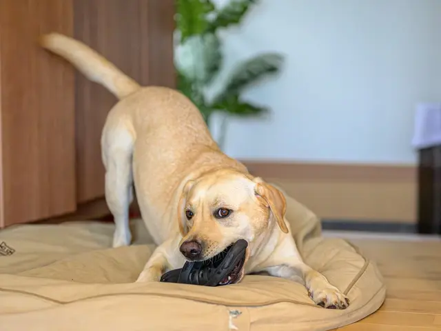 今この瞬間を一枚に!貴方の専属グラファーとして最高の一枚をお撮りいたします