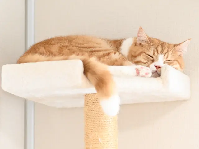 今この瞬間を一枚に!貴方の専属グラファーとして最高の一枚をお撮りいたします