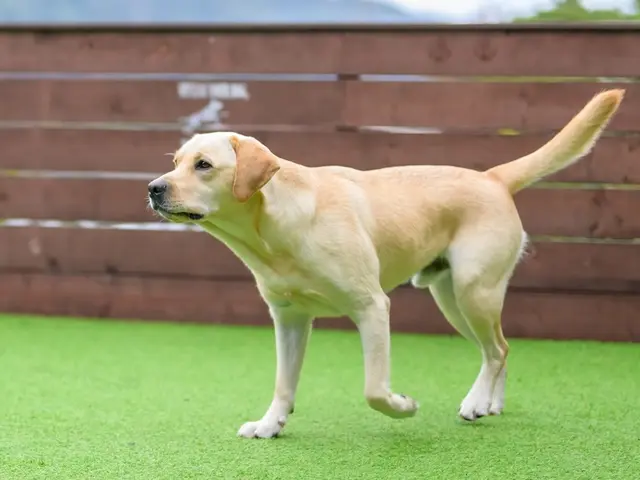 今この瞬間を一枚に!貴方の専属グラファーとして最高の一枚をお撮りいたします