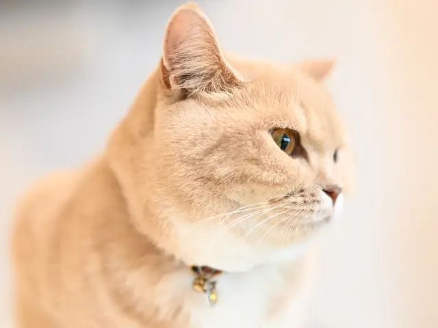 今この瞬間を一枚に!貴方の専属グラファーとして最高の一枚をお撮りいたします