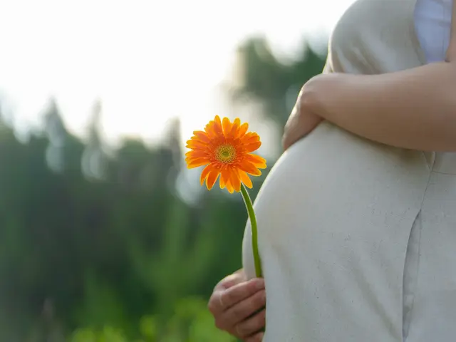 【初回限定価格】高品質な写真と満足なサービスを、お求めやすい価格でご提供します。