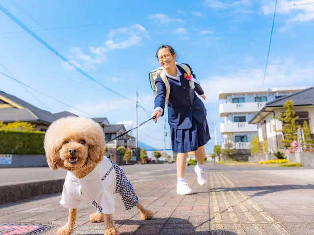 【満足度★5つ】専業カメラマン出張!いつもと一味、違う記念写真をご体験下さい☆彡