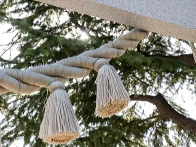 七五三の写真とムービーを撮影致します。