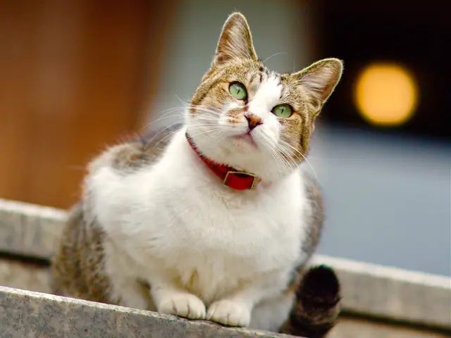 【年中無休◎神戸市発】商品店舗撮影等 豊富な経験と実績を活かして対応いたします!