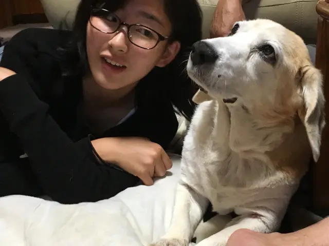 プロ業歴26年。大切な家族である動物とのひとときを、心を込めて多数撮影いたします