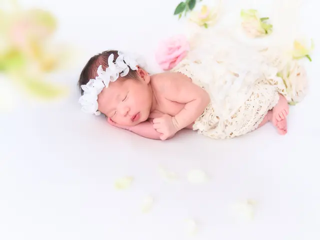 関テレよ〜いドン!【人間国宝】ニューボーン夫婦カメラマン。ムービーも大人気です♡