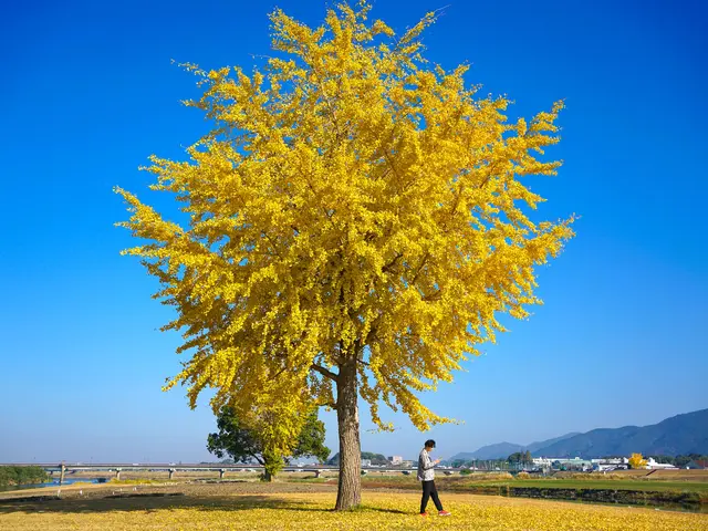 【出張撮影】SNS、コスプレ、プロフィール、宣材写真撮影☆全データ納品