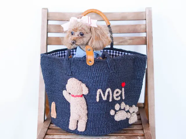 大切な家族であるペットちゃん達のお写真を撮ります!