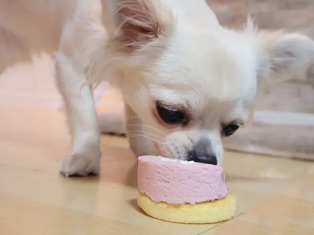プロの技術でご満足いただけるように心を込めて撮影いたします
