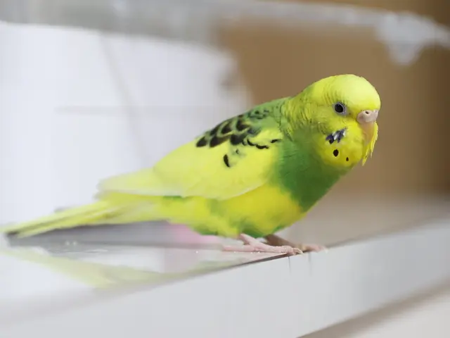 プロの技術でご満足いただけるように心を込めて撮影いたします