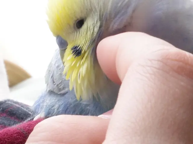 プロの技術でご満足いただけるように心を込めて撮影いたします