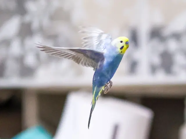 プロの技術でご満足いただけるように心を込めて撮影いたします