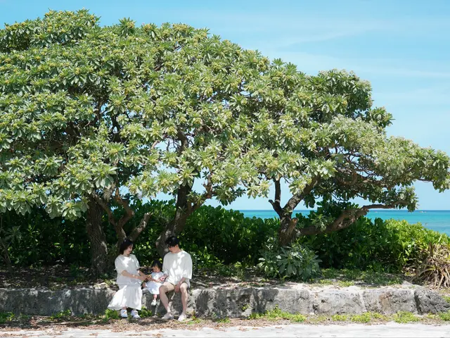 口コミNo.1カメラマンだけが知っている 美しいロングビーチで家族写真を撮る方法